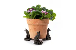 Fox Plant Pot Feet - Set of 3 - L7 x W8.5 x H9.5 cm