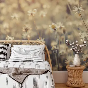 Mexican Daisy Mural - 384x260cm - 5513-8