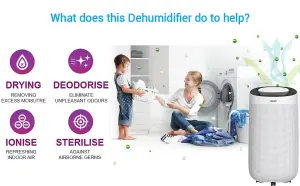 Senelux 12L/Day Dehumidifier for Home