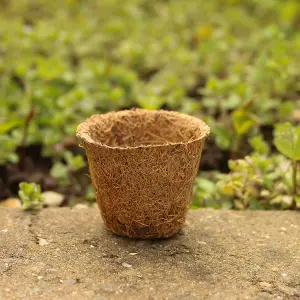 Coir Products 5cm Coir Pot for Indoor and Outdoor Use 20 Pack