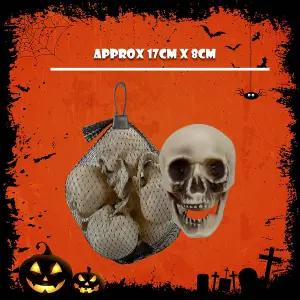 Halloween Skulls Decoration Pack Trick or Treat Party 17cm White