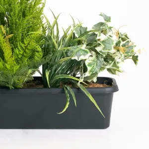 Blooming Artificial - 60cm / 2ft Variegated Artificial Foliage Window Box