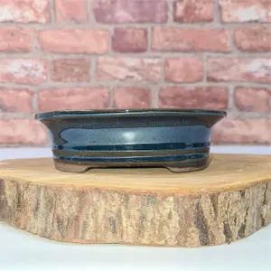 16cm Glazed Bonsai Pot - Oval - 16cm x 12cm x 4cm - Blue