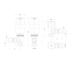 Pair of Angled White Thermostatic Radiator Valves