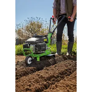 Draper  Petrol Cultivator/Tiller, 161cc 04604