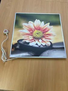 595x595 Flower Picture Infrared Heating Panel 360W - Electric Wall Panel Heater