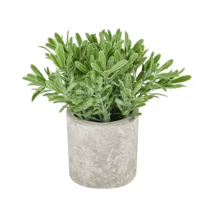 Hill Interiors Buxus Potted Stone Effect Faux Plant