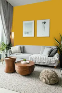 Leyland Trade Vinyl Soft Sheen Walls & Ceilings Emulsion Paint Honey Yellow (RAL 1005) - 5L