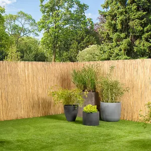 1.5m x 4m Split Natural Peeled Reed Screening Fencing Panel Bamboo Fence Roll Garden