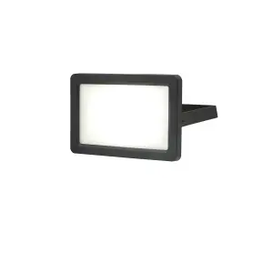 GoodHome Lucan AFD1018-NB Black Mains-powered Cool white LED Without sensor Floodlight 2000lm