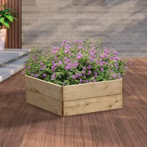 Greena Pentagonal Raised Bed 30 cm High, 60cm each side