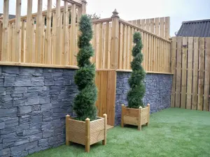 Best Artificial 5ft - 150cm Green Cedar Spiral Topiary Tree - Suitable for Outdoor Use - Weather & Fade Resistant