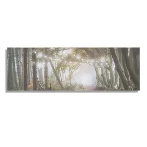 Woodland Wander LED Printed Canvas Forest Landscape Wall Art