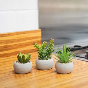 Blooming Artificial - 7cm / 0.25ft Artificial Succulent Trio