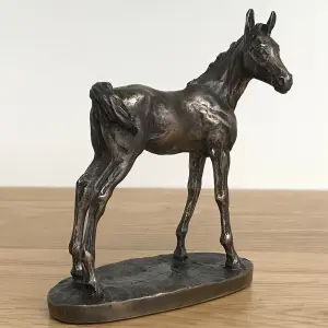 Foal figurine in solid cold cast bronze designed by David Geenty