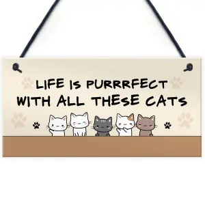 Life Is Perfect With All These Cats Home Sign Funny Gift For Women Pet Lover Gift