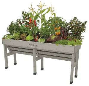 VegTrug Raised Bed Wooden Planter Medium Wall Hugger Grey Wash