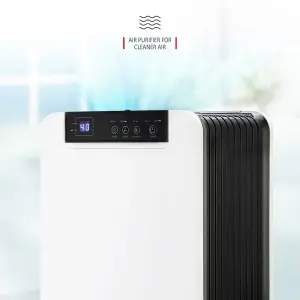 NETTA 12L Low Energy Dehumidifier with Continuous Drainage and Timer - Ideal for Damp, Condensation and Laundry Drying