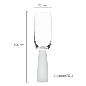 Oslo Champagne Flutes (Set of 2) Clear/Frost