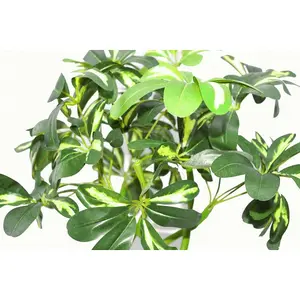 70cm Artificial Twisted Stem Modern Arboricola Artificial Plant Bonsai Bush