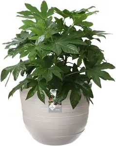 elho Pebble Grey Fuente Rings Round Planter 38cm (Dia)