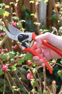 Spear & Jackson 6659BS Razorsharp Professional Heavy Duty Bypass Secateurs