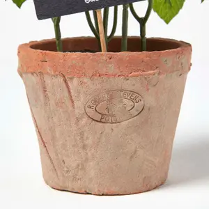 Homescapes Artificial Basil Plant in Decorative Pot