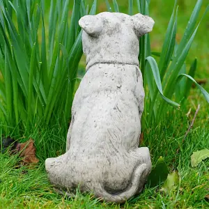 Staffordshire Bull Terrier Dog Stone Statue Staffie Puppy Outdoor Garden Ornament Decoration