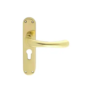 Manital Polished Brass Ibra Lever on Euro Lock Backplate (EL11Y)