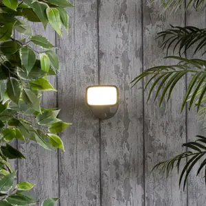 Litecraft Alma Dark Grey Outdoor LED Wall Flood Light