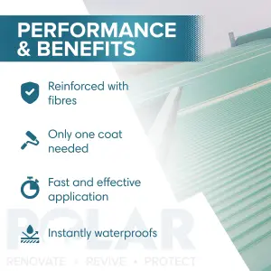 Polar Felt Seal Paint 1L Clear, Instant Waterproof Roof Sealant for All Felt Roofs