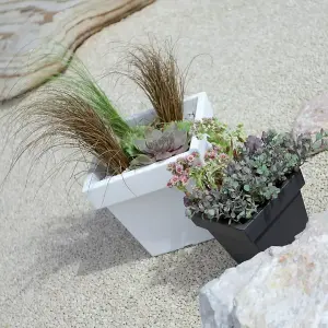 URBNLIVING 240mm Dark Grey Plastic Flower Plant Garden Indoor Outdoor Herb Planter Pots Patio Square Low