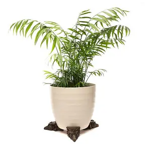 Dragon Plant Pot Feet - Set of 3 - L6.5 x W8 x H6 cm