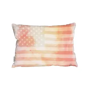 Cushions - American Flag Subtle (Cushion) / 45cm x 30cm