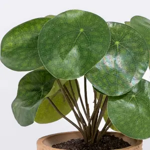 Blooming Artificial - 25cm / 0.75ft Artificial Pilea Bush