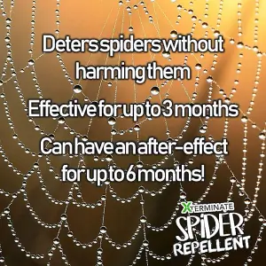 Xterminate Spider Repellent 2 Litre Super Strength Natural Peppermint Oil. Repels and Deters Spiders