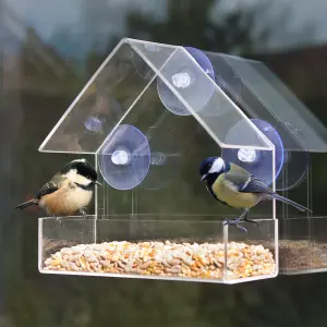 Greena Bird Care Window Bird Feeder