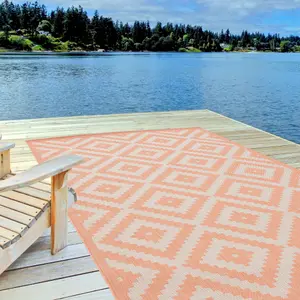 Ecology Collection Outdoor Rugs in Orange  100OR