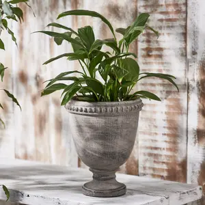 Vintage Style Cement Footed Garden Décor Plant Pot Indoor Outdoor Planter