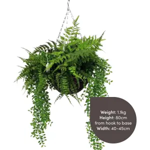 Blooming Artificial 35cm Faux Forest Foliage Hanging Basket - Outdoor Fern Plant