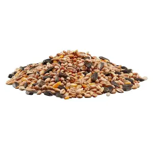 Happy Beaks All Seasons Wild Bird Food Seed Mix High Energy Premium Feed For Wild Birds (14kg)