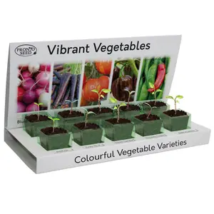 Pronto Seed Grow Your Own Vegetables Kit - 5 Vegetable Seed Varieties - Gardening Gifts for Men and Women