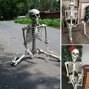 Halloween Realistic Full Body Skeleton Prop Decoration Posable Joints 90cm