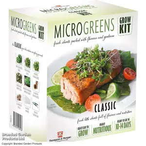 Gift Seed Grow Kit Microgreens Classic