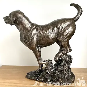 Large Labrador on Rocks dog figurine in solid cold cast bronze designed by David Geenty