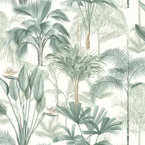 Arthouse Palm Wallpaper Tropical Jungle Leaves Brotanical White Green Nature