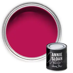 Annie Sloan Wall Paint 120ml Capri Pink