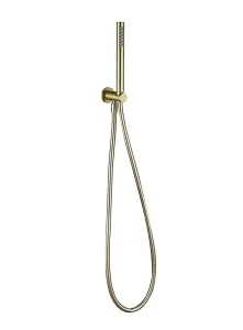 Aquarius RainLux Integrated Outlet Round Handheld Shower Kit Brushed Brass