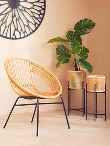 Interiors by Premier Comfortable Natural Rattan And Black Iron Arm Chair, Durable Outdoor Chair, Versatile Natural Dining Chair