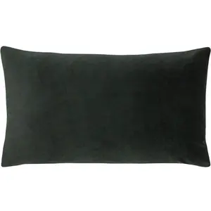 Paoletti Sunningdale Velvet Feather Rich Cushion